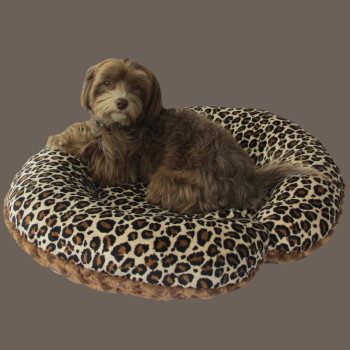 This c-shape dog bed was donated to the North Shore Animal League